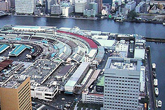 Tsukiji Market