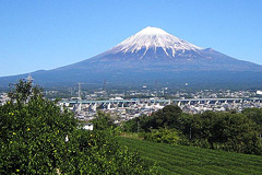 Mount Fuji