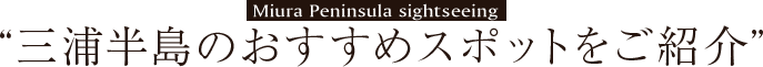 “三浦半島のおすすめスポットをご紹介